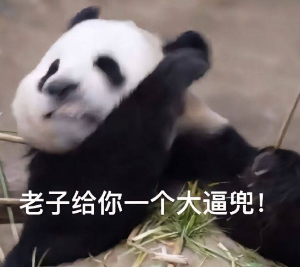 欧陆平台注册：“爹”学上新全网嘲，他这是把裹脚布当王冠啊